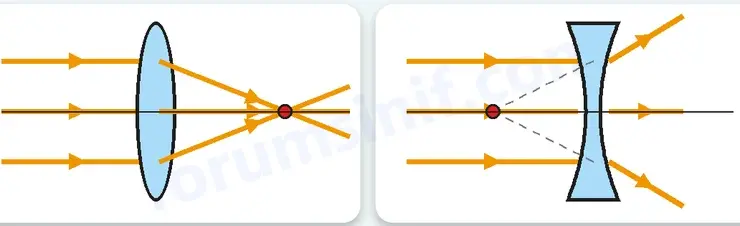 7. Sınıf Fen Bilimleri Ders Kitabı Sayfa 26 Cevapları 2. KİTAP 7. Sınıf Fen Bilimleri Ders Kitabı Sayfa 26 Cevapları 2. KİTAP