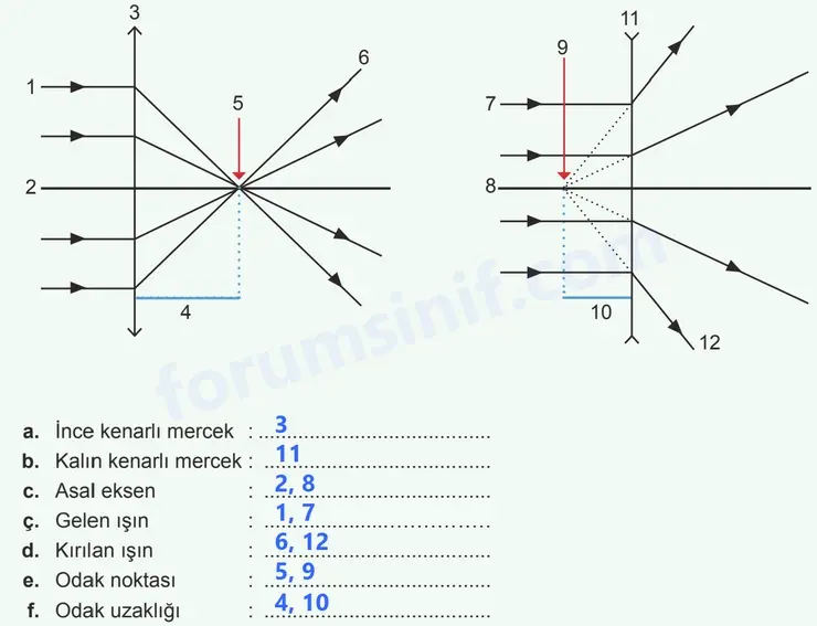 7. Sınıf Fen Bilimleri Ders Kitabı Sayfa 29 Cevapları 2. KİTAP 7. Sınıf Fen Bilimleri Ders Kitabı Sayfa 29 Cevapları 2. KİTAP