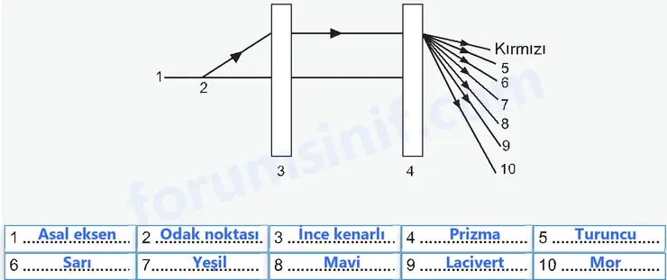 7. Sınıf Fen Bilimleri Ders Kitabı Sayfa 37 Cevapları 2. KİTAP 7. Sınıf Fen Bilimleri Ders Kitabı Sayfa 37 Cevapları 2. KİTAP