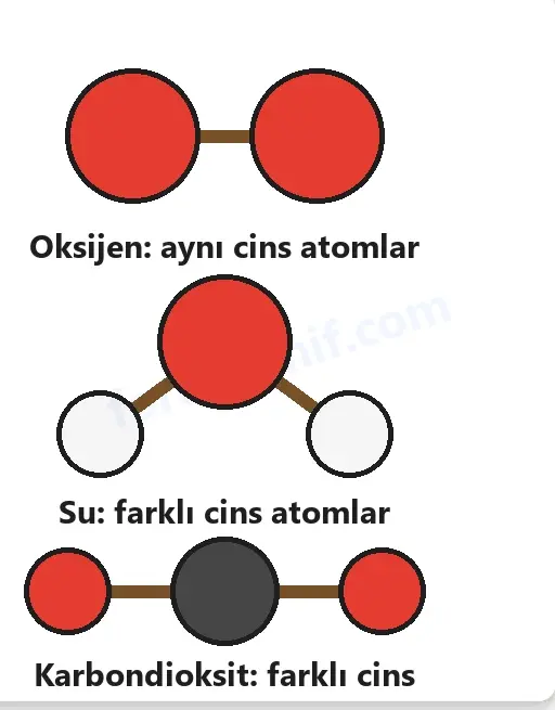 7. Sınıf Fen Bilimleri Ders Kitabı Sayfa 56 Cevapları 2. KİTAP 7. Sınıf Fen Bilimleri Ders Kitabı Sayfa 56 Cevapları 2. KİTAP