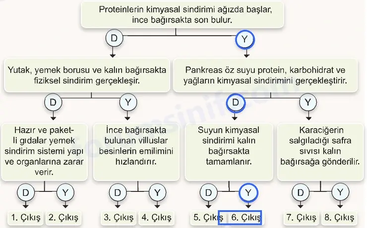 7. Sınıf Fen Bilimleri Ders Kitabı Sayfa 100 Cevapları