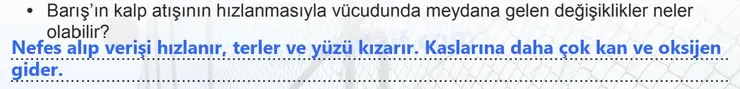 7. Sınıf Fen Bilimleri Ders Kitabı Sayfa 101 Cevapları - 2