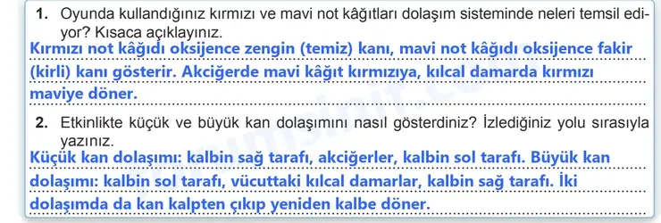 7. Sınıf Fen Bilimleri Ders Kitabı Sayfa 108 Cevapları