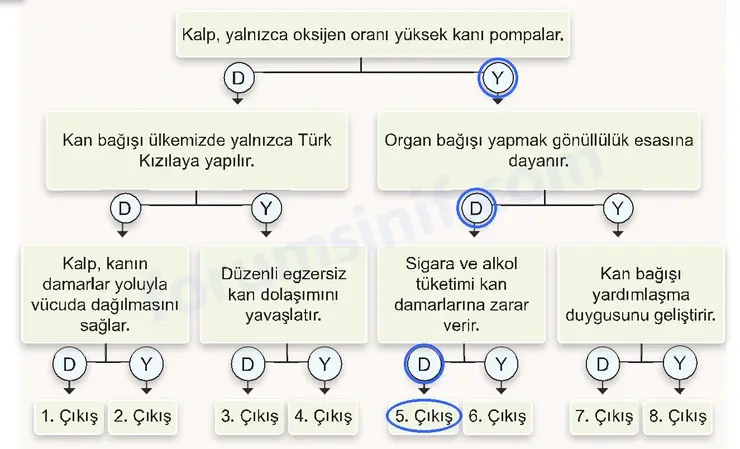7. Sınıf Fen Bilimleri Ders Kitabı Sayfa 116 Cevapları 7. Sınıf Fen Bilimleri Ders Kitabı Sayfa 116 Cevapları