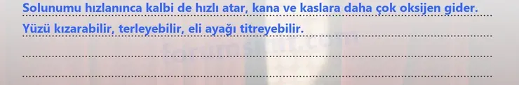 7. Sınıf Fen Bilimleri Ders Kitabı Sayfa 117 Cevapları - 2 7. Sınıf Fen Bilimleri Ders Kitabı Sayfa 117 Cevapları - 2