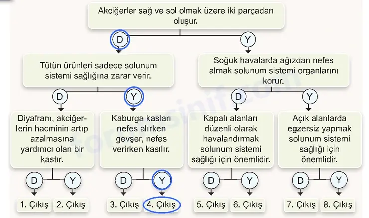 7. Sınıf Fen Bilimleri Ders Kitabı Sayfa 128 Cevapları 7. Sınıf Fen Bilimleri Ders Kitabı Sayfa 128 Cevapları
