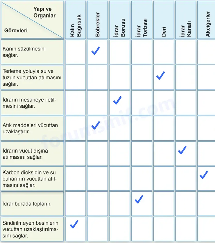 7. Sınıf Fen Bilimleri Ders Kitabı Sayfa 134 Cevapları 7. Sınıf Fen Bilimleri Ders Kitabı Sayfa 134 Cevapları