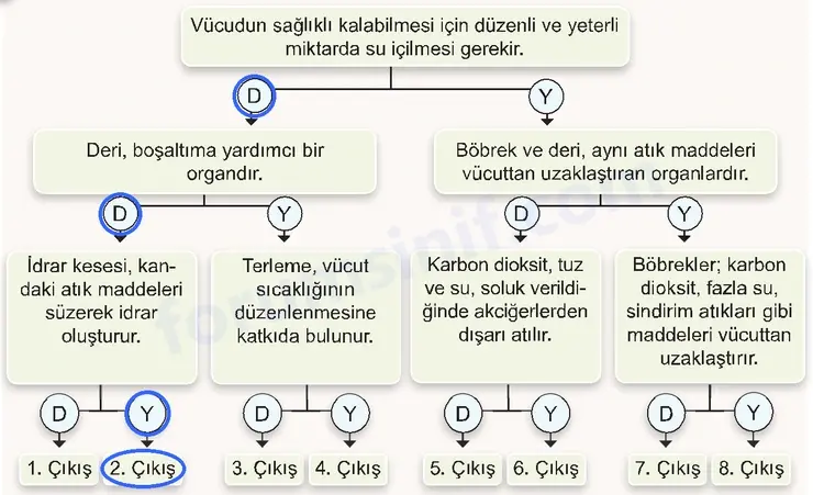 7. Sınıf Fen Bilimleri Ders Kitabı Sayfa 139 Cevapları 7. Sınıf Fen Bilimleri Ders Kitabı Sayfa 139 Cevapları