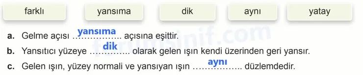7. Sınıf Fen Bilimleri Ders Kitabı Sayfa 14 Cevapları 7. Sınıf Fen Bilimleri Ders Kitabı Sayfa 14 Cevapları