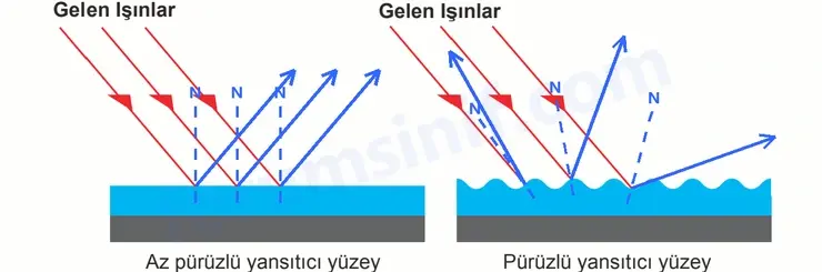 7. Sınıf Fen Bilimleri Ders Kitabı Sayfa 14 Cevapları - 2 7. Sınıf Fen Bilimleri Ders Kitabı Sayfa 14 Cevapları - 2