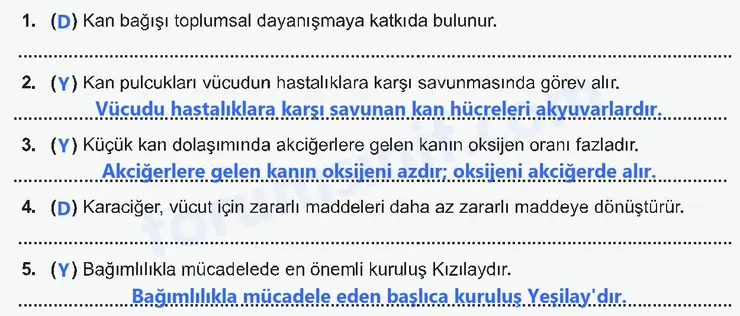 7. Sınıf Fen Bilimleri Ders Kitabı Sayfa 141 Cevapları 7. Sınıf Fen Bilimleri Ders Kitabı Sayfa 141 Cevapları