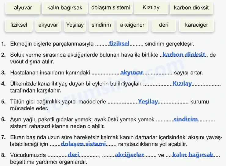7. Sınıf Fen Bilimleri Ders Kitabı Sayfa 141 Cevapları - 2 7. Sınıf Fen Bilimleri Ders Kitabı Sayfa 141 Cevapları - 2
