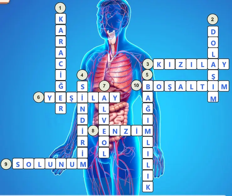 7. Sınıf Fen Bilimleri Ders Kitabı Sayfa 148 Cevapları 7. Sınıf Fen Bilimleri Ders Kitabı Sayfa 148 Cevapları