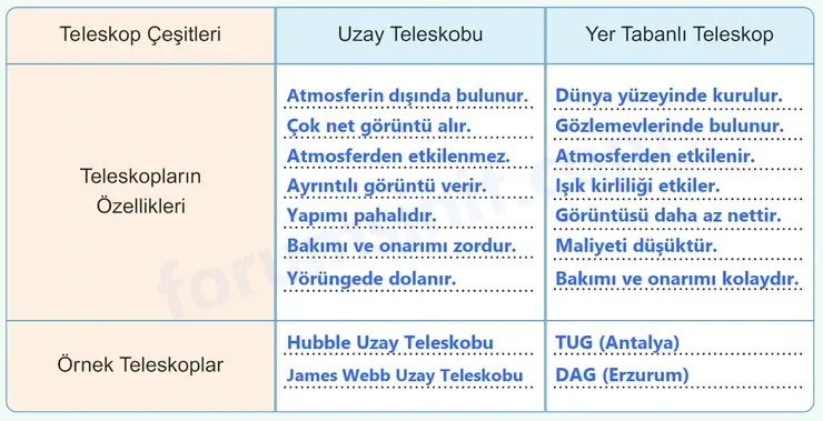 7. Sınıf Fen Bilimleri Ders Kitabı Sayfa 24 Cevapları