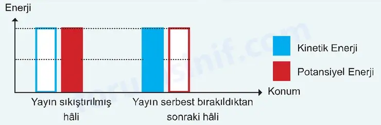 7. Sınıf Fen Bilimleri Ders Kitabı Sayfa 74 Cevapları 7. Sınıf Fen Bilimleri Ders Kitabı Sayfa 74 Cevapları