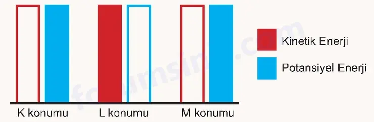 7. Sınıf Fen Bilimleri Ders Kitabı Sayfa 79 Cevapları 7. Sınıf Fen Bilimleri Ders Kitabı Sayfa 79 Cevapları