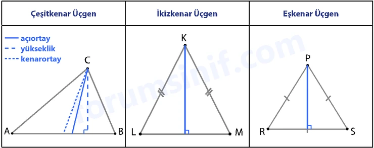 7. Sınıf Matematik Ders Kitabı Sayfa 20 Cevapları İkinci Kitap