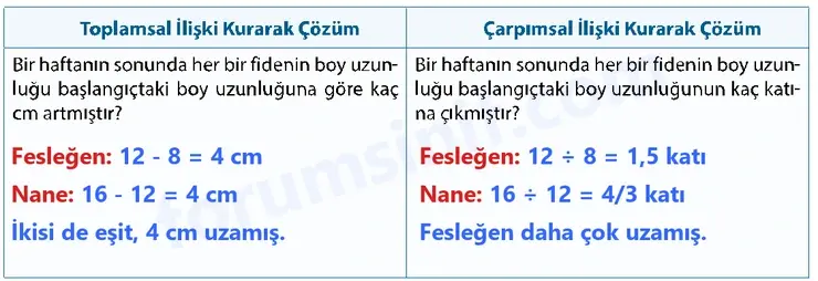 7. Sınıf Matematik Ders Kitabı Sayfa 40 Cevapları İkinci Kitap 7. Sınıf Matematik Ders Kitabı Sayfa 40 Cevapları İkinci Kitap