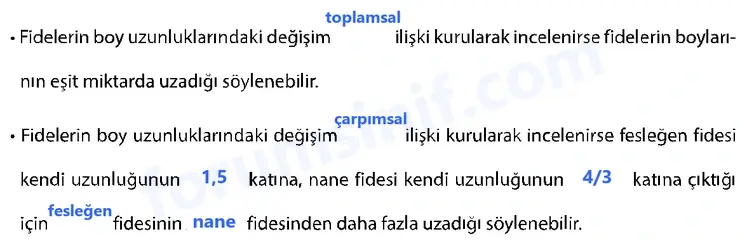7. Sınıf Matematik Ders Kitabı Sayfa 40 Cevapları İkinci Kitap - 2 7. Sınıf Matematik Ders Kitabı Sayfa 40 Cevapları İkinci Kitap - 2