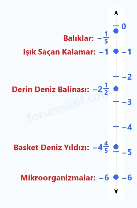 7. Sınıf Matematik Ders Kitabı Sayfa 54 Cevapları 1. Kitap - 2 7. Sınıf Matematik Ders Kitabı Sayfa 54 Cevapları 1. Kitap - 2