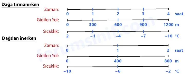 7. Sınıf Matematik Ders Kitabı Sayfa 80 Cevapları 1. Kitap