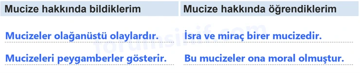 7. Sınıf Peygamberimizin Hayatı Sayfa 29 Cevapları MEB Yayınları