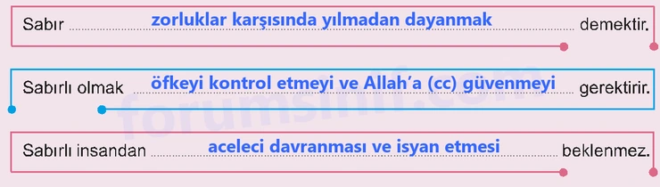 7. Sınıf Peygamberimizin Hayatı Sayfa 86 Cevapları MEB Yayınları 7. Sınıf Peygamberimizin Hayatı Sayfa 86 Cevapları MEB Yayınları