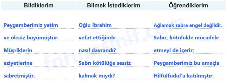 7. Sınıf Peygamberimizin Hayatı Sayfa 87 Cevapları MEB Yayınları 7. Sınıf Peygamberimizin Hayatı Sayfa 87 Cevapları MEB Yayınları