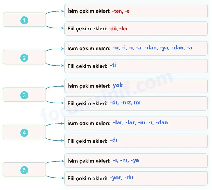 7. Sınıf Türkçe Ders Kitabı Sayfa 109 Cevapları 1. Kitap