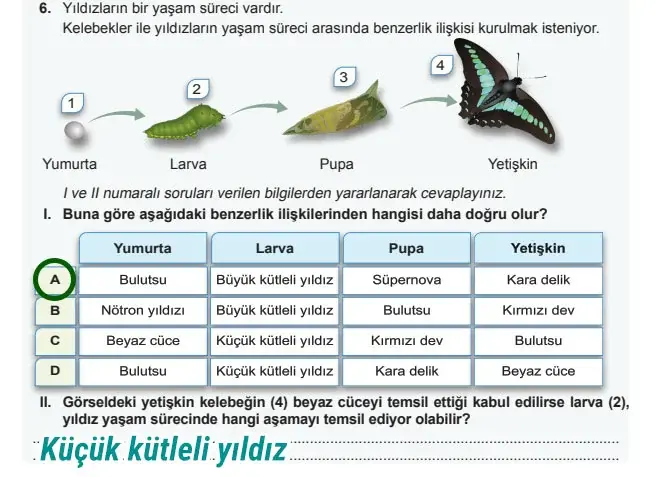 7. Sınıf Fen Bilimleri Ders Kitabı Sayfa 53 Cevapları MEB Yayınları 7. Sınıf Fen Bilimleri Ders Kitabı Sayfa 53 Cevapları MEB Yayınları