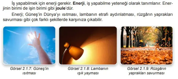 7. Sınıf Fen Bilimleri Ders Kitabı Sayfa 64 Cevapları MEB Yayınları