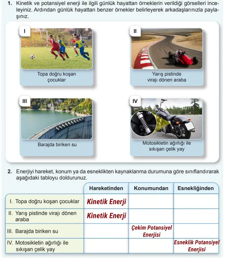 7. Sınıf Fen Bilimleri Ders Kitabı Sayfa 65 Cevapları MEB Yayınları