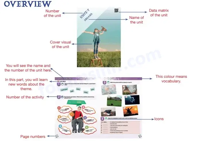 7. Sınıf MEB Yayınları İngilizce Ders Kitabı Cevapları - Overview -1