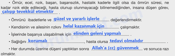 8. Sınıf Din Kültürü Sayfa 25 Cevapları Bilim ve Kültür Yayınları
