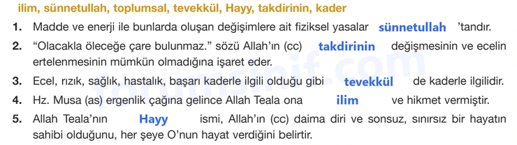 8. Sınıf Din Kültürü Sayfa 37 Cevapları Bilim ve Kültür Yayınları 8. Sınıf Din Kültürü Sayfa 37 Cevapları Bilim ve Kültür Yayınları