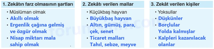 8. Sınıf Din Kültürü Sayfa 61 Cevapları Bilim ve Kültür Yayınları 8. Sınıf Din Kültürü Sayfa 61 Cevapları Bilim ve Kültür Yayınları