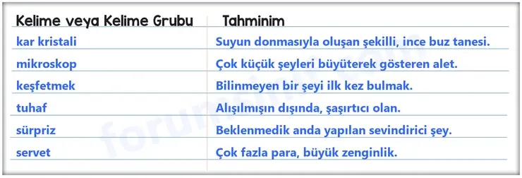 8. Sınıf Türkçe Ders Kitabı Sayfa 186 Cevapları MEB Yayınları
