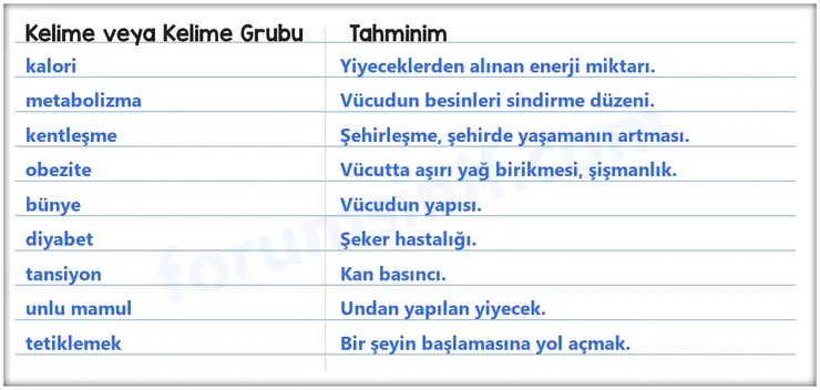 8. Sınıf Türkçe Ders Kitabı Sayfa 207 Cevapları MEB Yayınları 8. Sınıf Türkçe Ders Kitabı Sayfa 207 Cevapları MEB Yayınları
