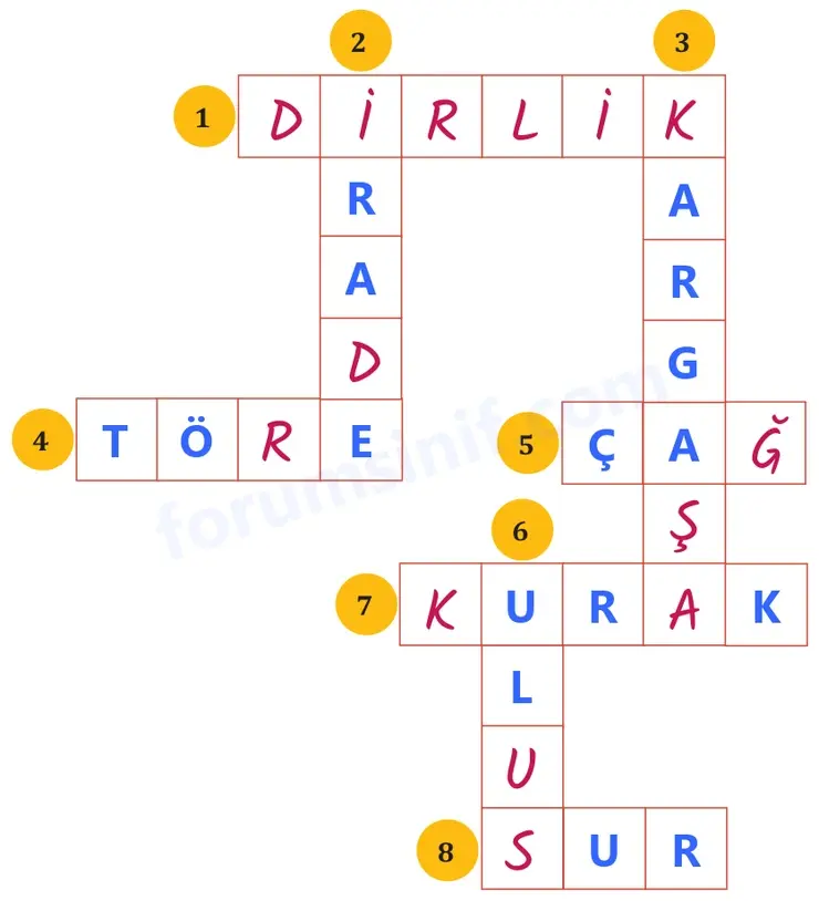 8. Sınıf Türkçe Ders Kitabı Sayfa 49 Cevapları MEB Yayınları