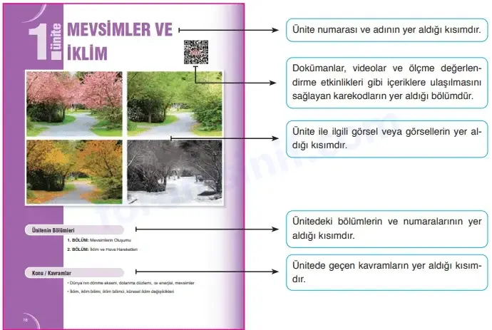 8.Sınıf Fen Bilimleri Ders Kitabı Cevapları MEB Yayınları 8.Sınıf Fen Bilimleri Ders Kitabı Cevapları MEB Yayınları