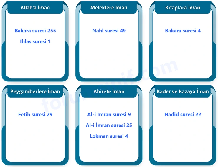 Temel Dini Bilgiler (İslam 1) Sayfa 24 Cevapları MEB Yayınları